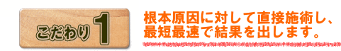 根本原因に対して直接施術し、最短最速で結果を出します。