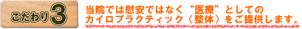 当院では医療としての整体を提供