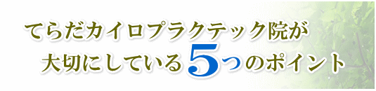 5つのポイント